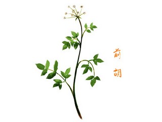 一次特殊的经历作文_一次特殊的经历作文
