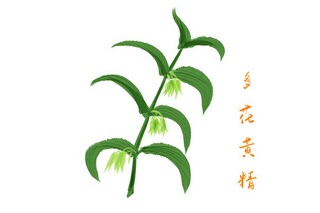 亲人去世悼词(亲人过世的悼念词)