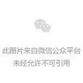 投资担保合同-借款合同(公司借款担保协议书)