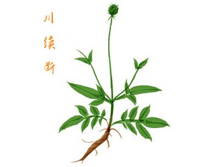 部门经理自我鉴定(学习自我鉴定简短)