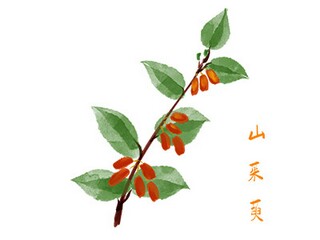 安全副校长述职报告_中学副校长述职报告
