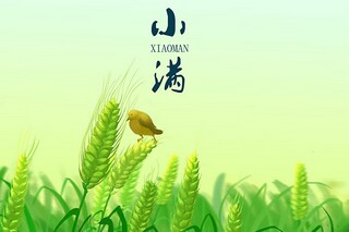 教师教育理论学习心得体会_教师信息技术培训心得体会