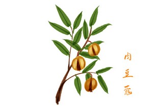 期待疫情过去春暖花开的唯美句子(期待疫情结束春暖花开的语句)