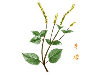 描写春天的诗歌现代诗_描写春天的古代诗歌