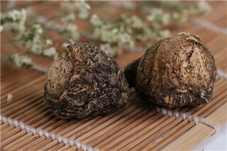 春节工地停工通知最新_春节停工通知