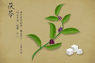 作文精彩片段摘抄_作文精彩片段摘抄200字左右