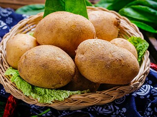 西瓜作文(西瓜作文400字左右)