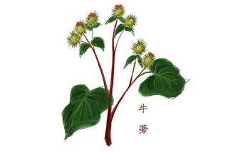 防止学生溺水的应急预案_防范学生溺水安全教案