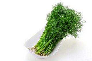 物业公司年会活动方案_物业公司年会活动方案策划