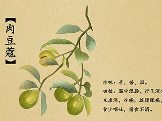 语文教师班主任个人工作述职报告(小学语文班主任述职报告推荐)