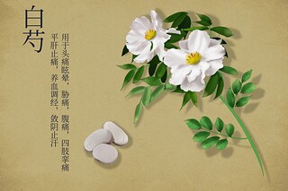 上学期幼儿园中班体育游戏教案 中班上学期体育教案_中班体育游戏教案幼儿园