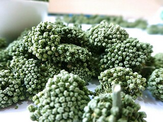 闺怨原文、翻译注释及赏析(闺怨古诗原文及翻译)