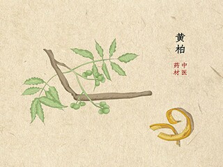 公司组织春游活动通知怎么写_公司组织春游通知