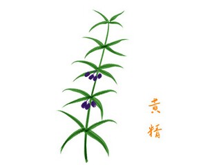参观类实习报告_参观实习参观内容怎么写