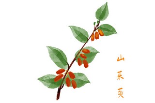 《世说新语》优秀的教学设计(《世说新语》的编写形式)