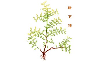 咏山古诗_咏深山老林的诗句