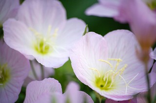 生物教师述职报告_教师思想述职报告