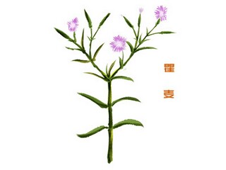 突发事件应急预案(突发事件应急预案)