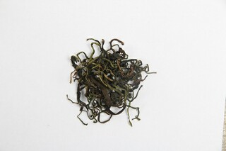 工程项目管理总结范文_工程项目管理技术总结