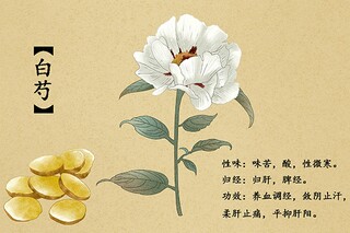 人美版四年级上册美术猜猜我是谁说课稿(人美版四年级美术猜猜我是谁教案)