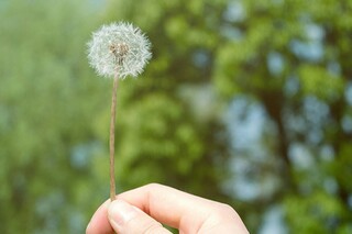 一年级谜语大全及谜底水果_幼儿简单水果谜语相关内容