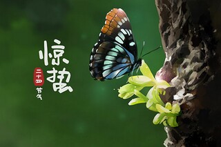 《画》教学设计示例(创意画课程教案)