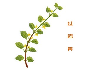 建筑消防应急预案实施方案_建筑消防应急预案的编制流程