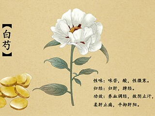 初中语文教学反思_初中语文教学反思