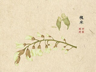 医院防寒防冻应急预案_防寒防冻的应急预案