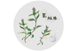 感情哲理诗句经典_夫妻感情哲理名言