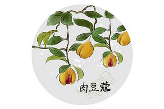感慨生命短暂的句子_感悟生命短暂的经典句子摘抄
