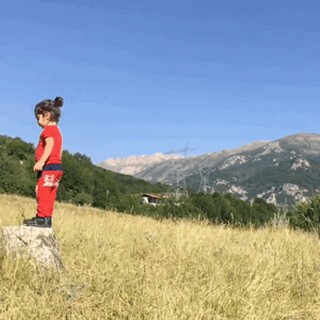 借明月抒情思乡的诗句_借明月抒情思乡怀人之情的诗句