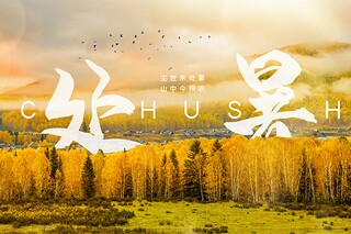 江南逢李龟年古诗翻译及注释_《江南逢李龟年》杜甫唐诗注释翻译赏析