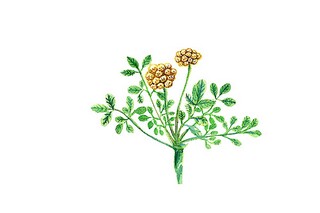 最新借款合同(最新借款合同印花税)