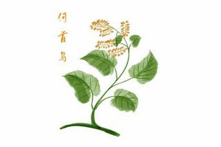 冬至哲理句子(冬至哲学句子)