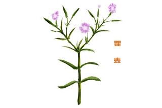 有子女自愿离婚协议书(子女上大学离婚协议书)