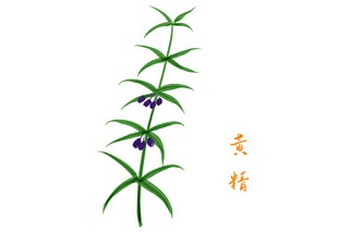 心理健康教师工作计划(教师心理健康工作计划2024)