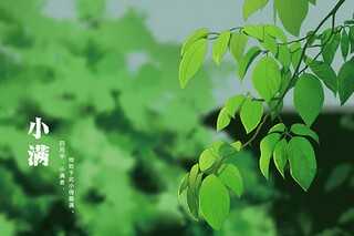描绘人物神态的成语(人物神态成语四字成语)