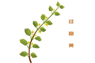描写父母的爱的句子摘抄(描写父母对子女爱的句子)